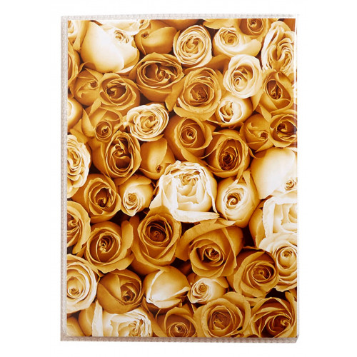 Mini album photo Roses 36 pochettes 10X15