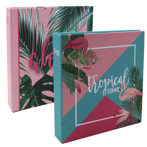 Lot de 2 albums photo Tropical Summer 200 pochettes 10x15