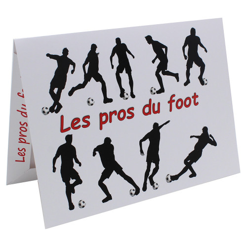 Cartonnage photo Combi A4 les pros du foot