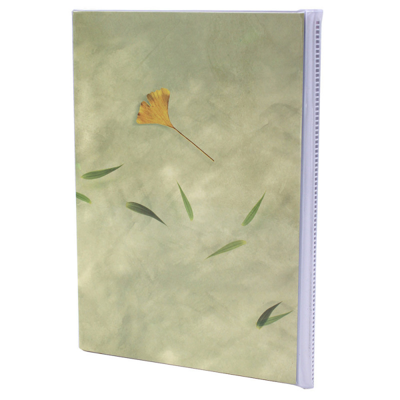 Lot de 12 albums  photos  Emotion 64 pochettes 11x15-vert clair dos
