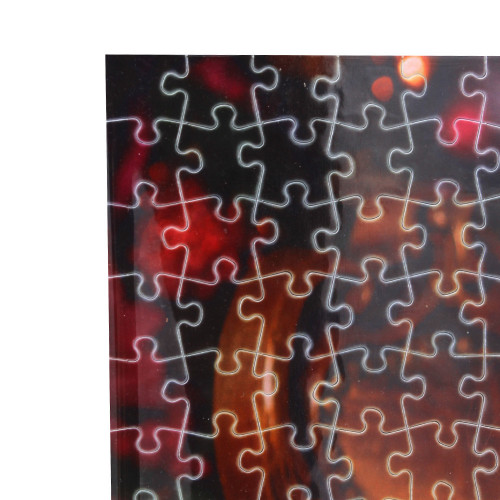 Puzzle photo 315 pièces-détail