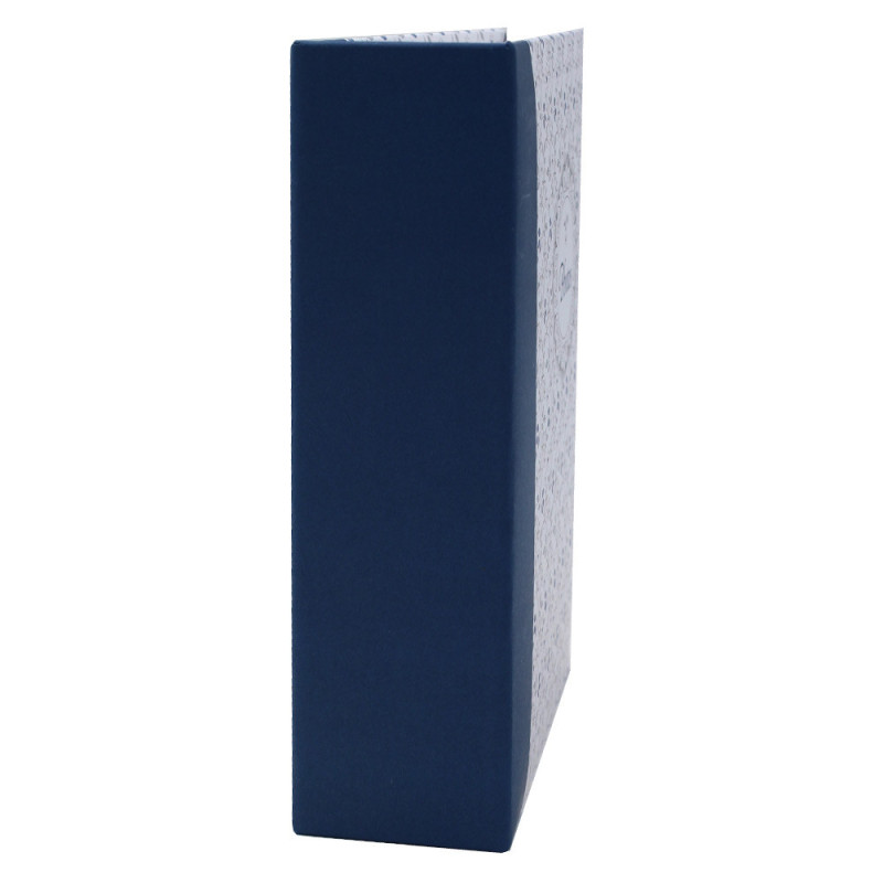 Album photo Viva bleu 100 pochettes 10X15 tranche