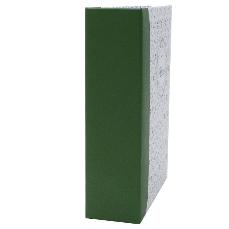 Album photo Viva vert 100 pochettes 10X15 tranche