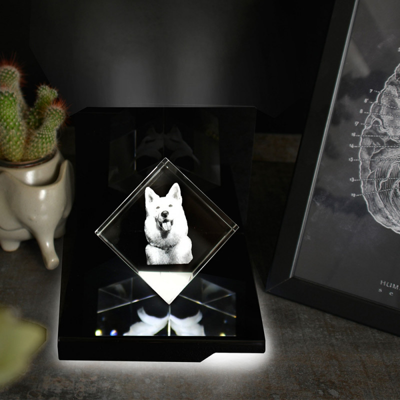 Socle lumineux Maestro pour Precious M et Kelo 3D vertical