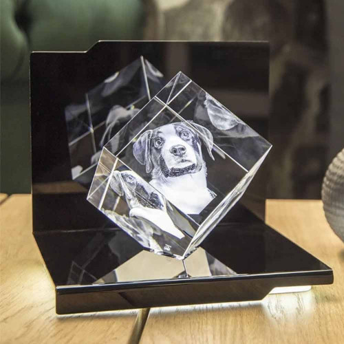 Gravure 3D Cube PRECIOUS M en verre Viamant chez