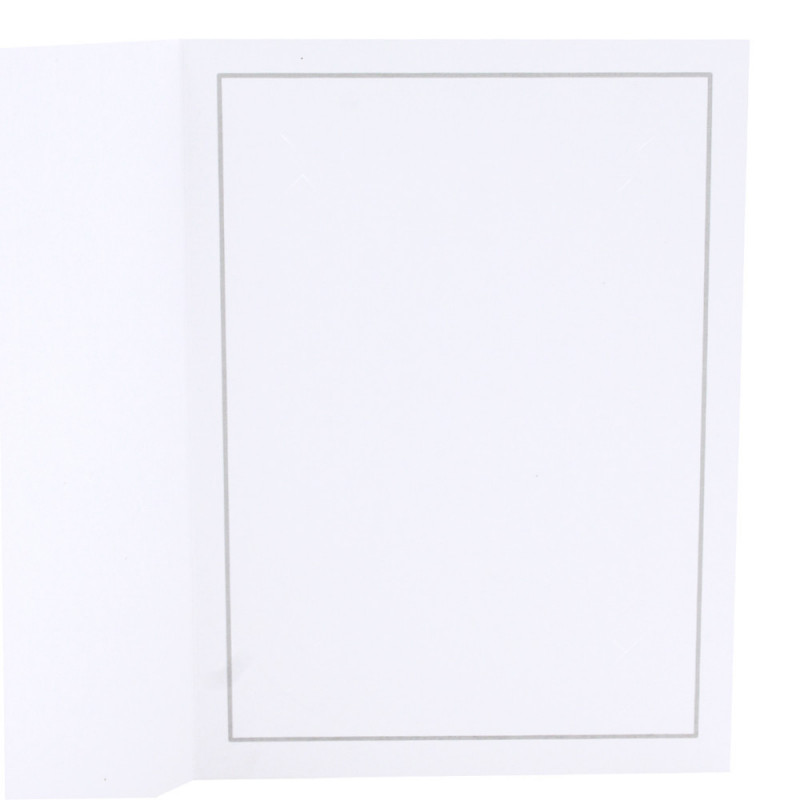 Lot de 53 cartonnages photo blanc 15x20 - Liseré Gris