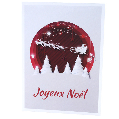 Lot cartonnage photo Joyeux Noël- Vertical Rennes blancs