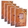 Lot de 5 albums photos Ariane Emotion 2d choix 64 pochettes 11x15 orange