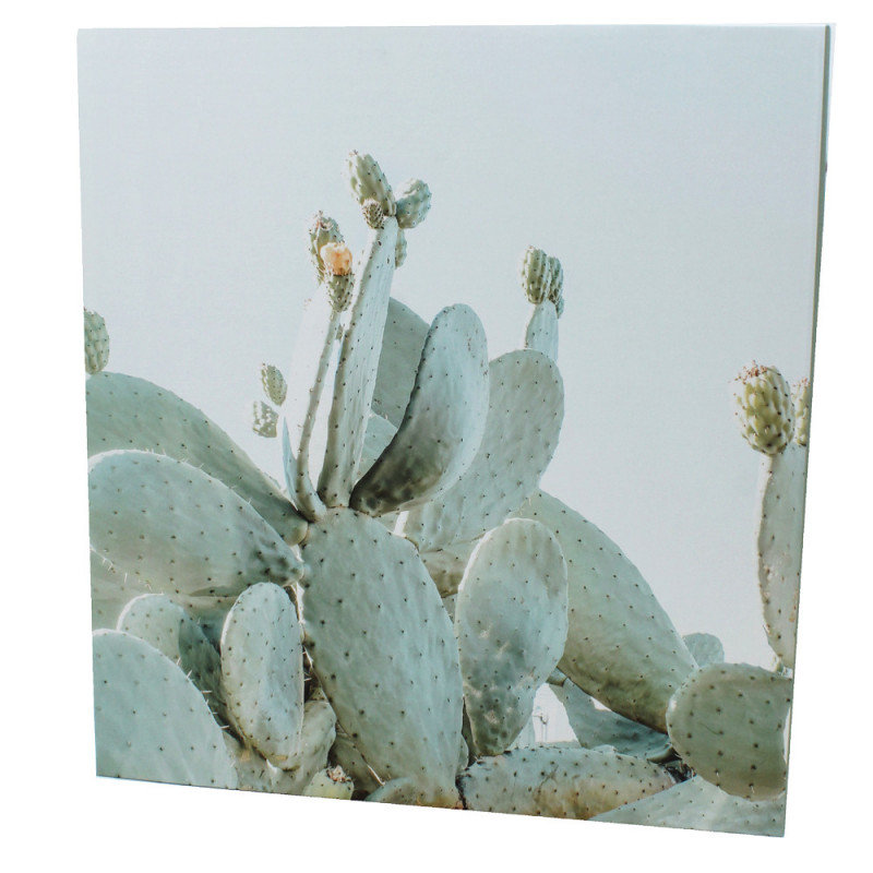 Lot de 2 classeurs photo Naturel Ariane 400  pochettes 11x15