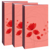 Lot 3 albums Ellypse 2 corail 2d choix 300 pochettes 11,5X15 