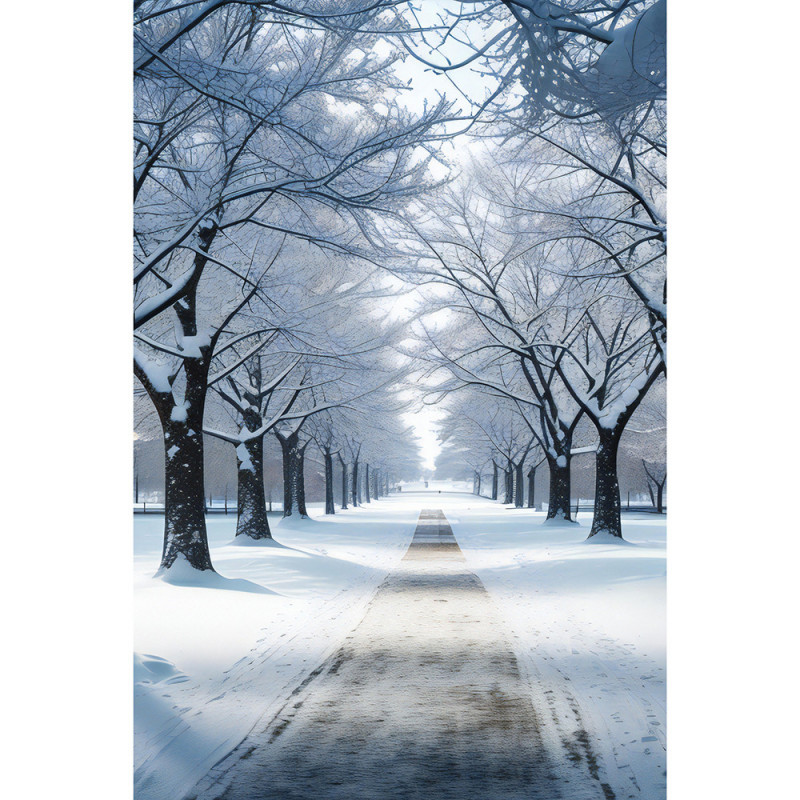 Toile photo 40x60 Hiver N1