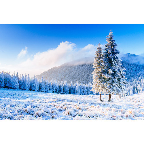 Toile photo 40x60 - 50x70 Hiver N2