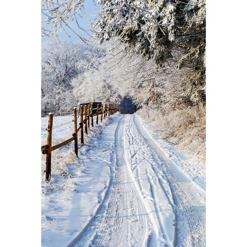 Toile photo 40x60 Hiver N5