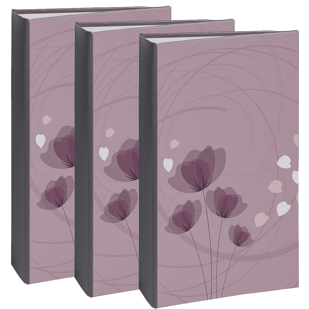 Lot de 3 albums photo grand horizon 300 pochettes 11x15 Violette -  Cdiscount Beaux-Arts et Loisirs créatifs