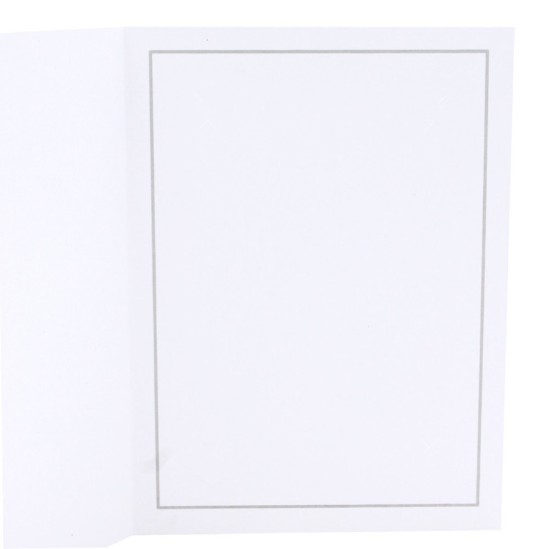 Lot de 50 cartonnages photo blanc 20x30 - Liseré Gris