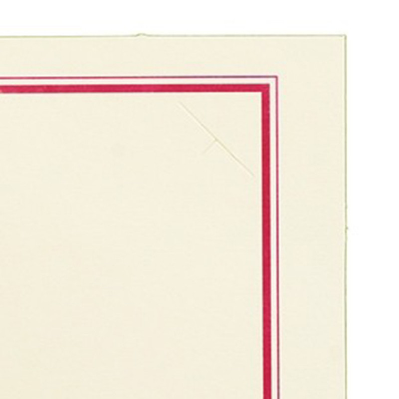 Lot de 100 cartonnages photo ivoire - Rajo 20x30
