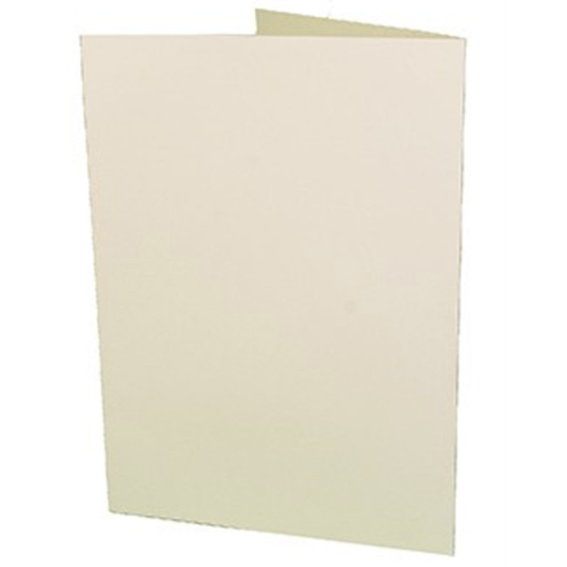 Lot de 100 cartonnages photo ivoire - Rajo 20x30