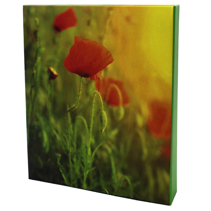 Album photo Always Dreams 200 pochettes 11x15