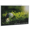 Cartonnage photo - Groupe 20x30 -18x25 - Agir aujourd'hui