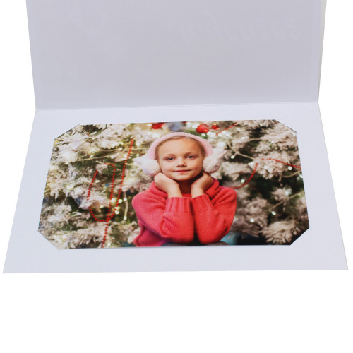 Lot 47 cartonnages photo 18x24  Joyeuses Fêtes - Horizontal Boules dorées 2