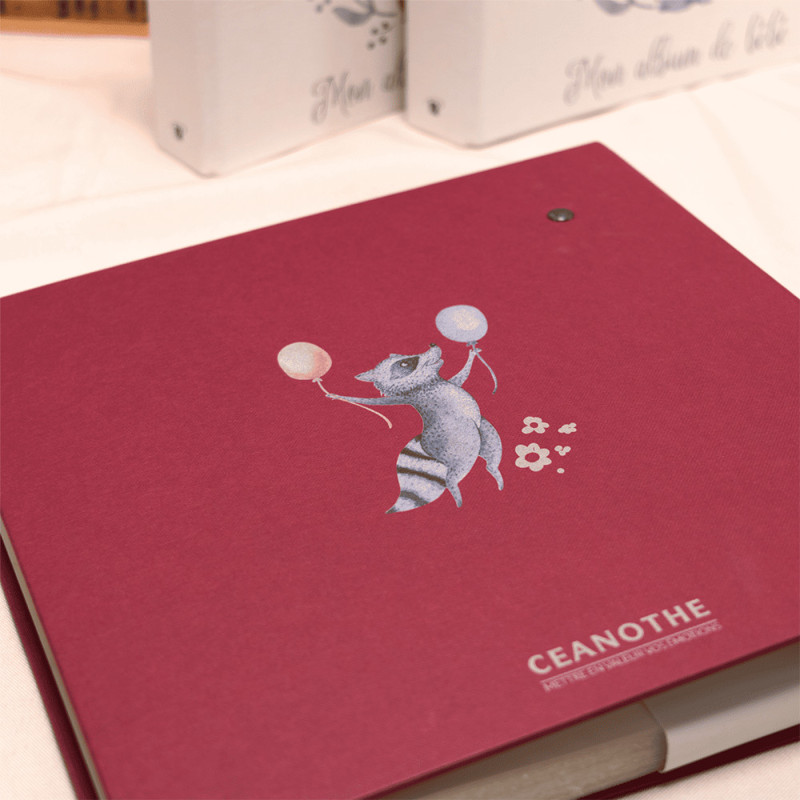 Album bébé Ceanothe Tipi 200 pochettes 10X15 / 11,5x15