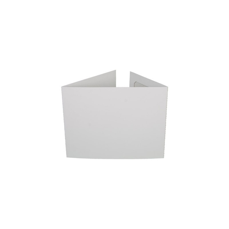 Lot de 100 cartonnages triptyques Ners