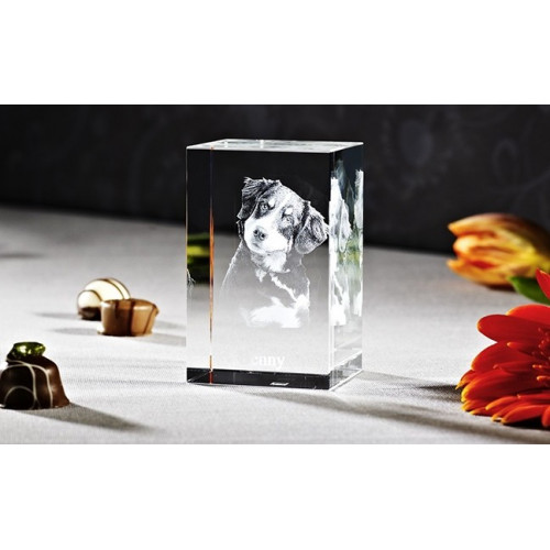 CUBE 3D NANO VERTICAL