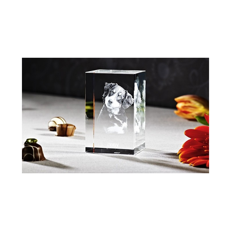CUBE 3D NANO VERTICAL