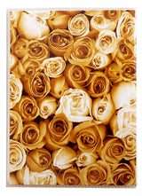 Mini album photo KP Roses 36 pochettes 10X15
