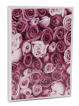 Lot 12 mini albums photo KP Roses 36 pochettes 10X15