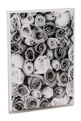 Lot 12 mini albums photo KP Roses 36 pochettes 10X15