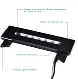 Socle lumineux Tritium 150 pour prisme XXL vertical