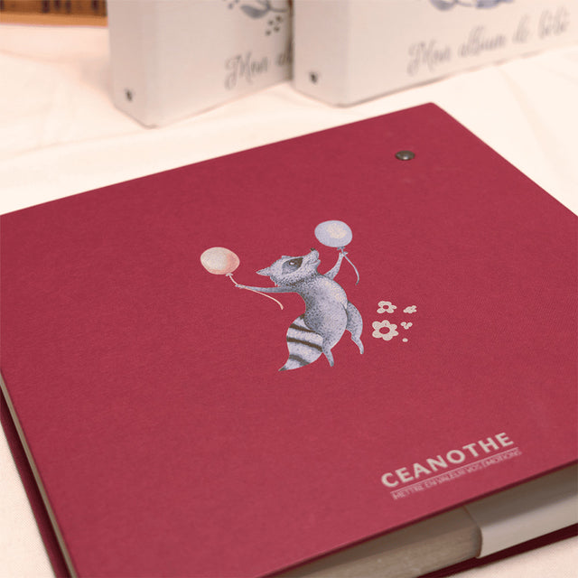 Album photo Tipi – Collection Ceanothe 200 photos 10x15 / 11,5x15 cm – Fabrication française