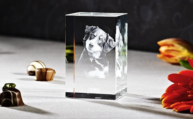 Cube 3D Nano V (1-2 personnes)