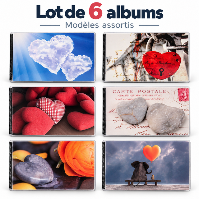 Lot de 6 mini albums photo Walther Hearts II – 40 photos 10x15 cm – Motifs assortis