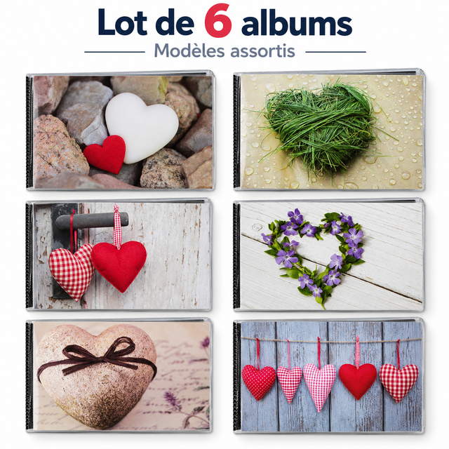 Lot de 6 mini albums photo Walther Hearts – Motifs assortis