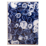 Mini album photo KP Roses 36 pochettes 10X15