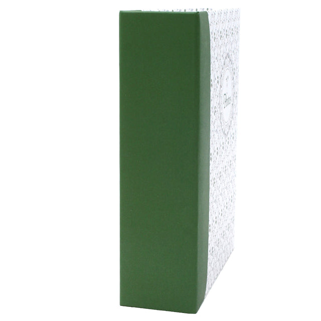 Album photo KP Viva vert 100 pochettes 10X15